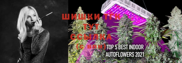 прущие крисы Зерноград