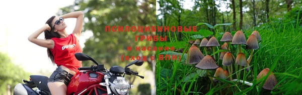 Альфа ПВП Зеленокумск