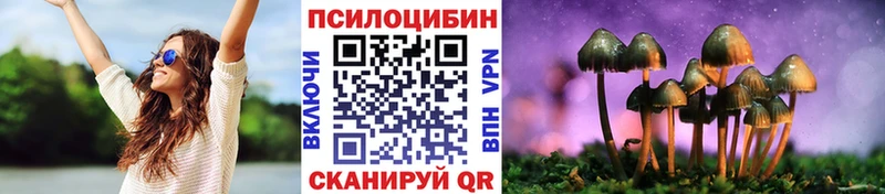 Галлюциногенные грибы прущие грибы  Купить  Новосиль 